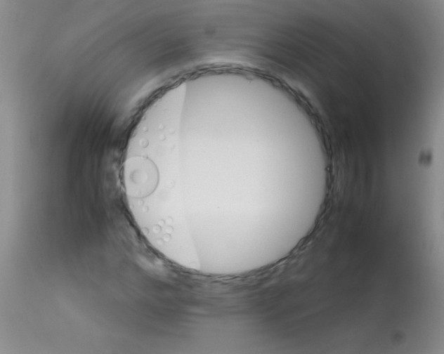 X0000113150968200910161216