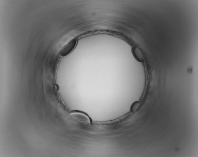 X0000113150969200910161216