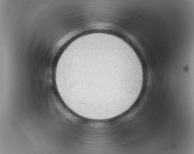 X0000113150970200910161216