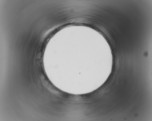 X0000113150971200910161216