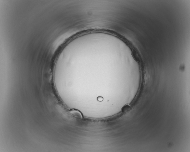 X0000113150973200910161216