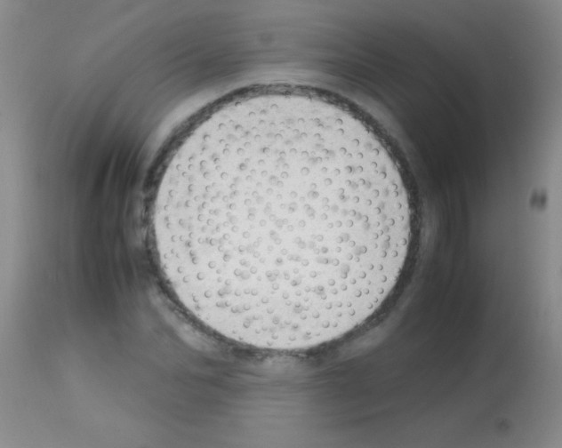 X0000113150974200910161216