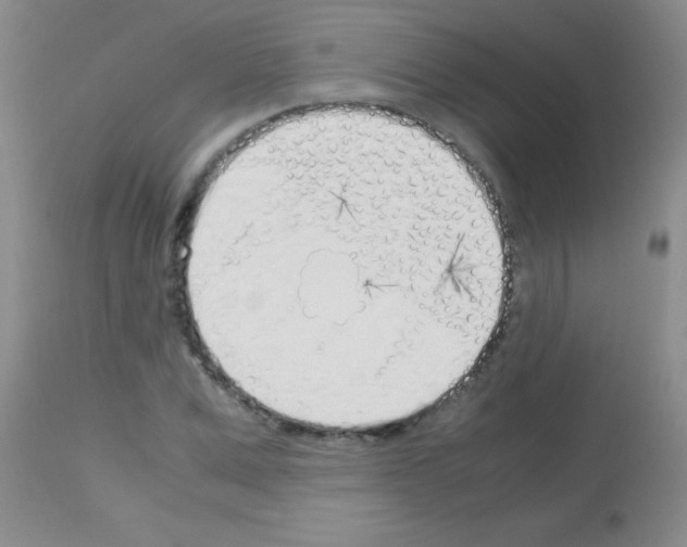 X0000113150975200910161216