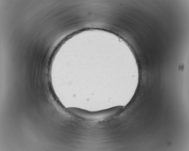 X0000113150976200910161216