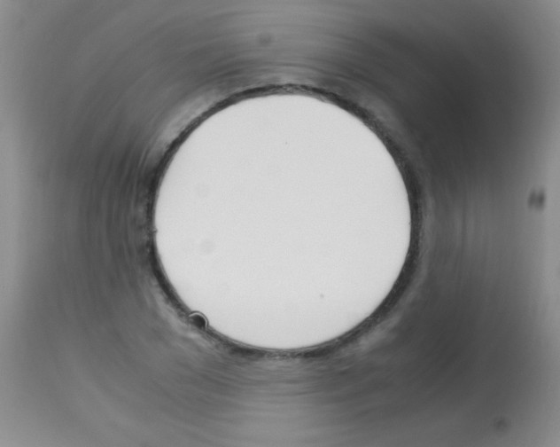 X0000113150977200910161216