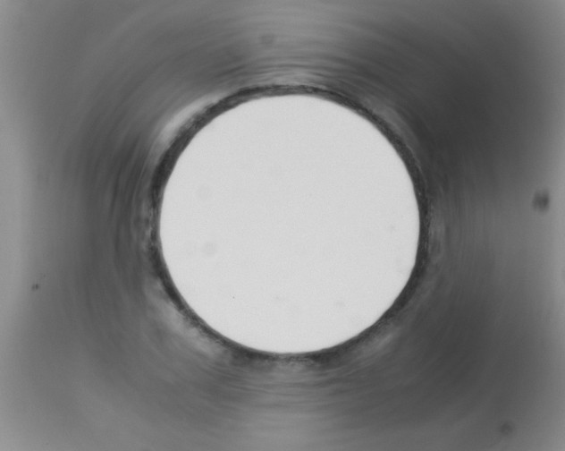 X0000113150979200910161216