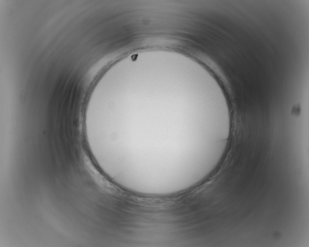 X0000113150980200910161216