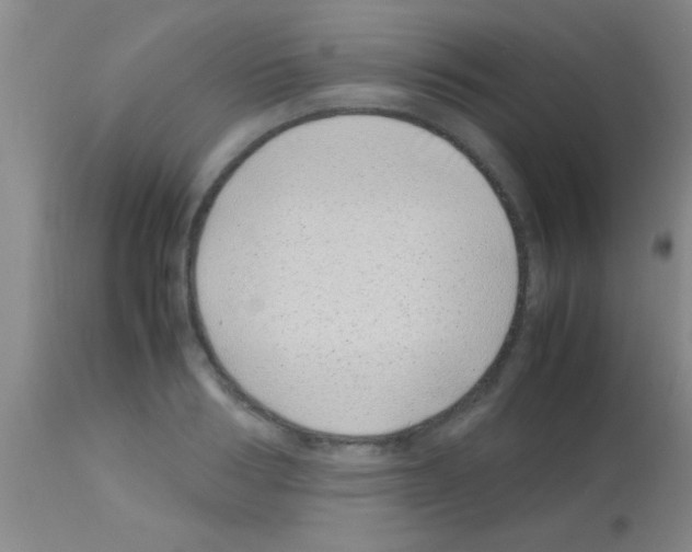 X0000113150986200910161216