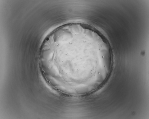 X0000113150989200910161216