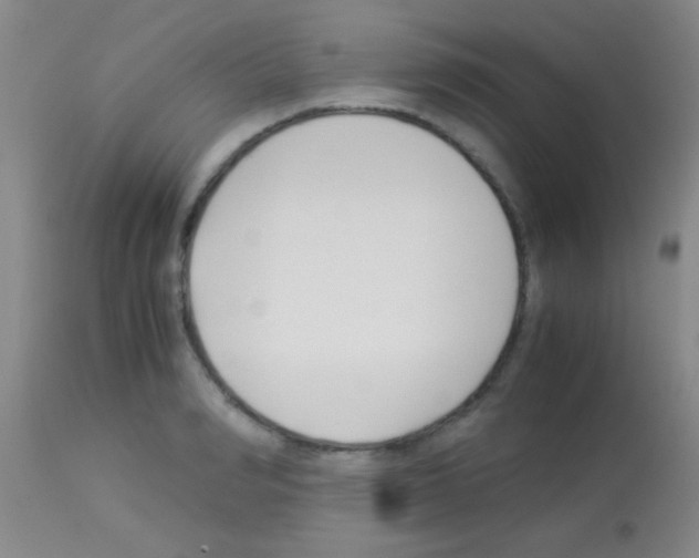 X0000113150990200910161216