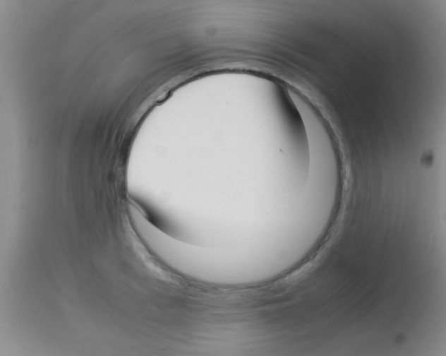 X0000113150993200910161216