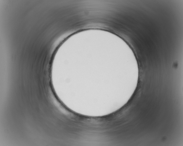 X0000113150995200910161216