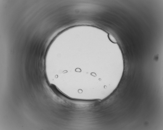 X0000113150996200910161216