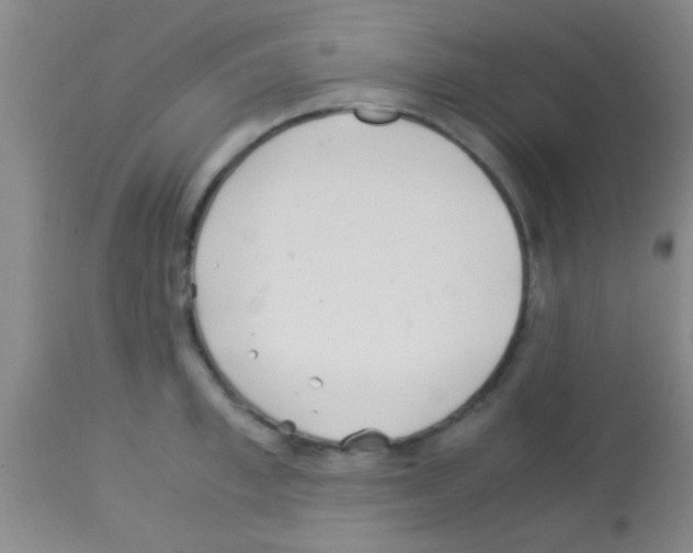 X0000113150997200910161216