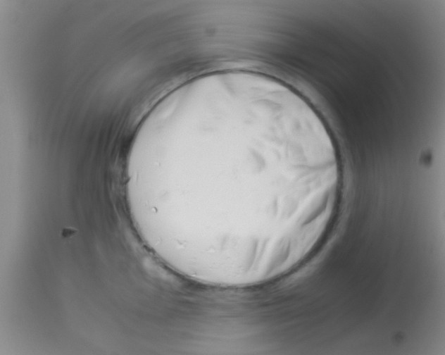 X0000113151001200910161216