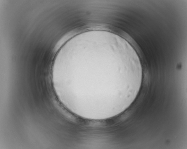 X0000113151002200910161216