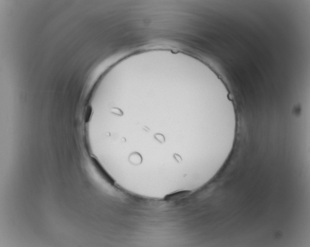 X0000113151003200910161216