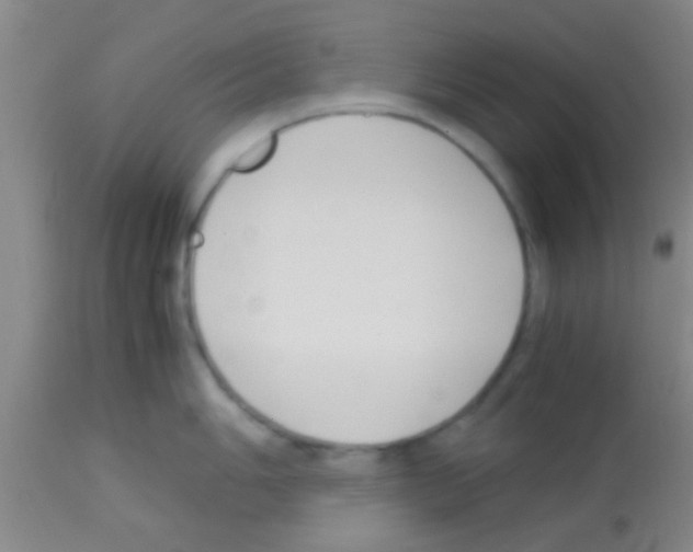 X0000113151006200910161216