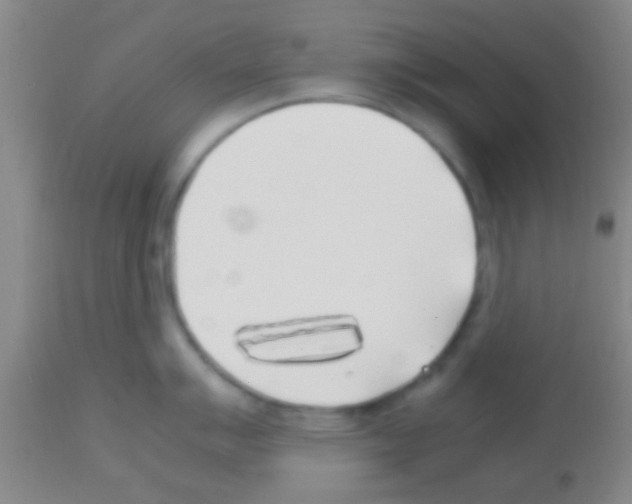 X0000113151007200910161216