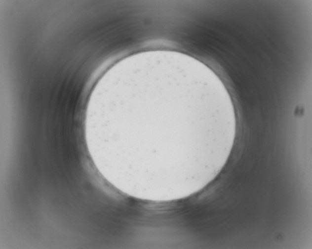 X0000113151008200910161216