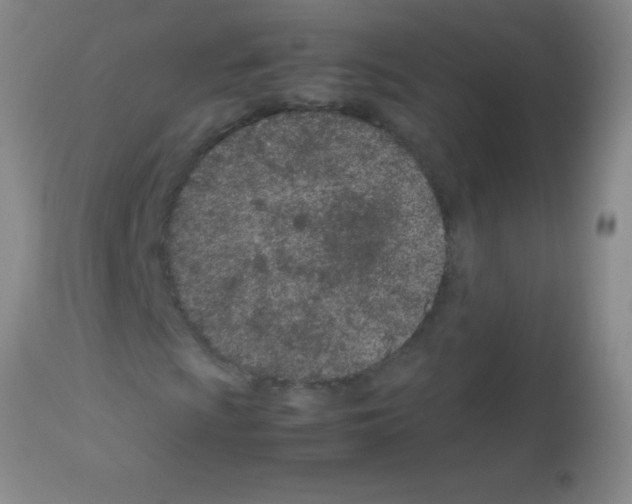 X0000113151009200910161215