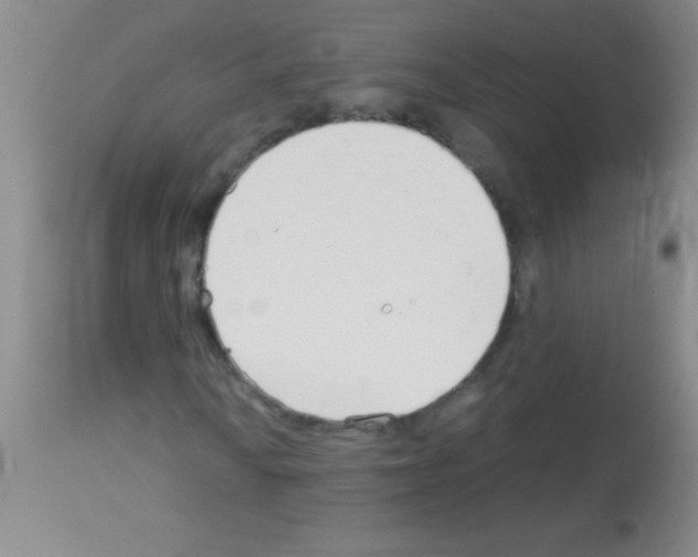 X0000113151010200910161215