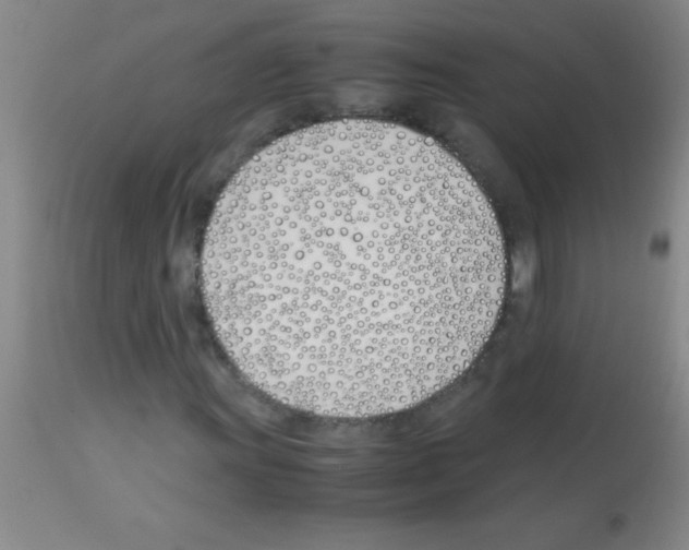 X0000113151011200910161215