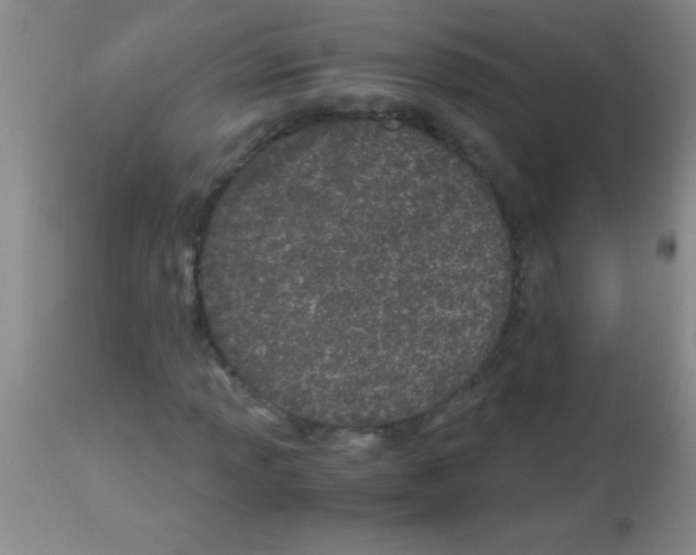 X0000113151013200910161215