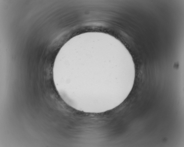 X0000113151014200910161215