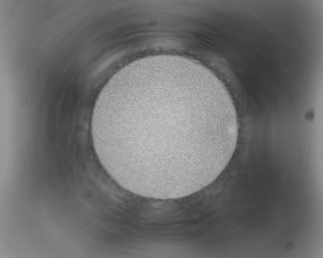 X0000113151015200910161215