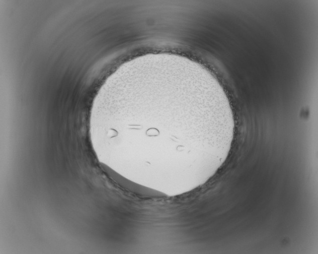 X0000113151016200910161215