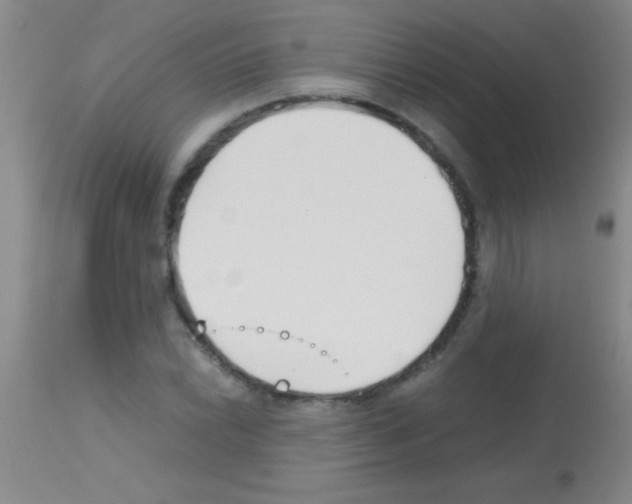 X0000113151022200910161215