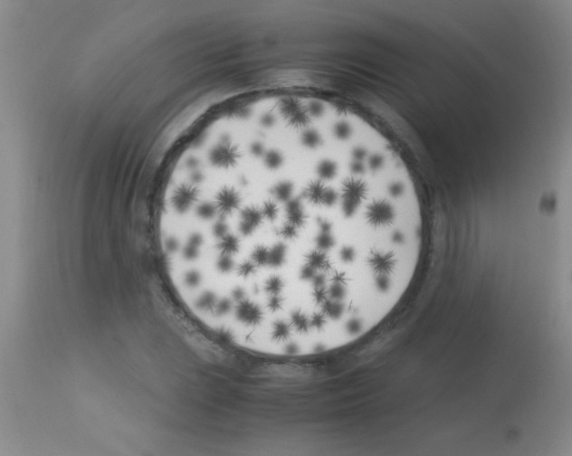 X0000113151023200910161215