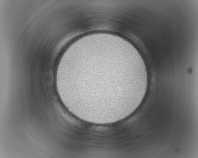 X0000113151027200910161215