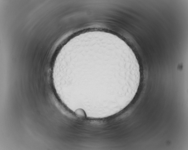 X0000113151029200910161215