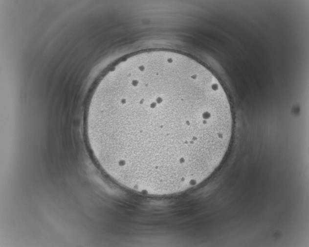 X0000113151035200910161215