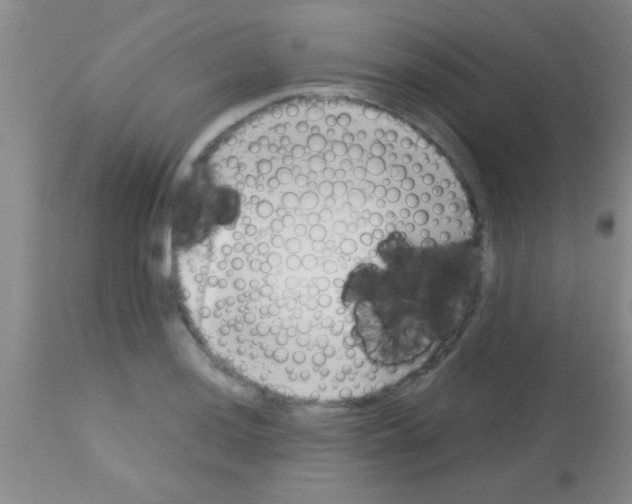 X0000113151036200910161215