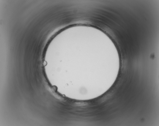 X0000113151037200910161215