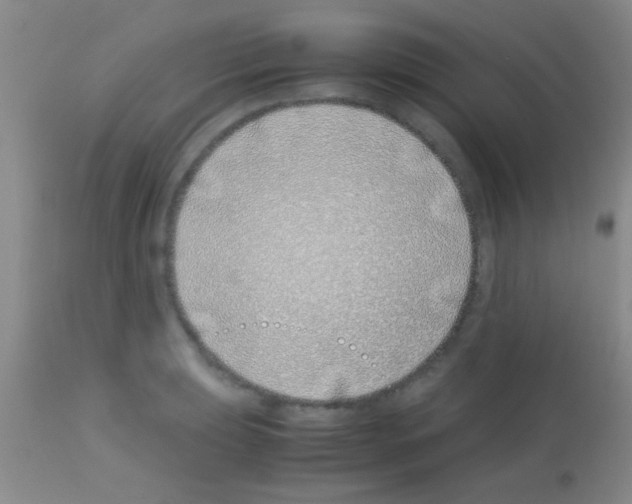 X0000113151039200910161215