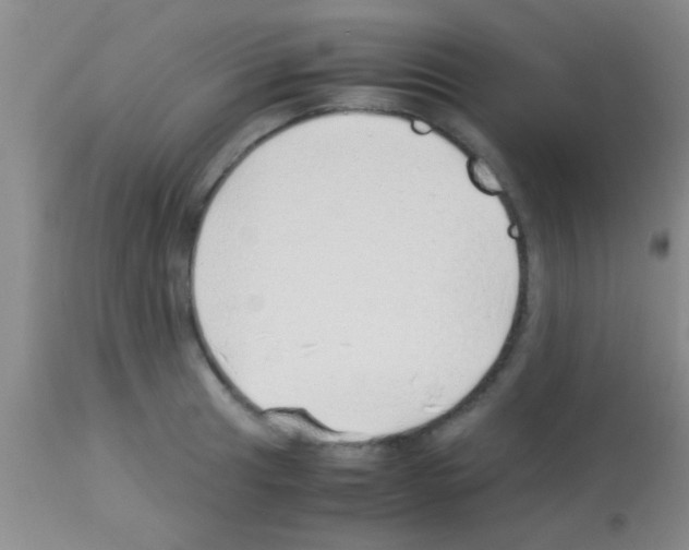 X0000113151041200910161215