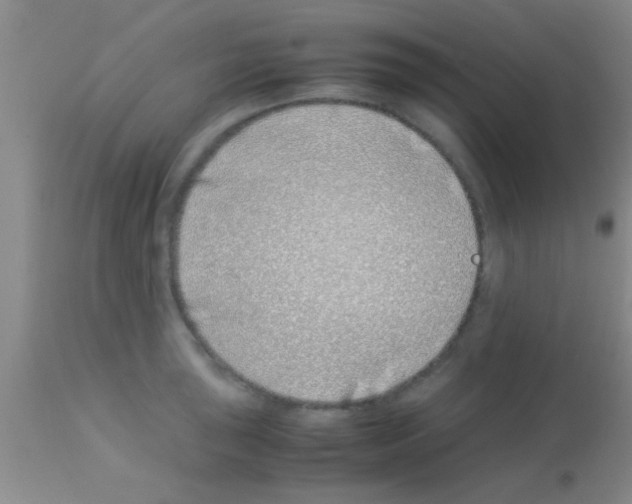 X0000113151043200910161215