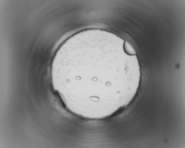 X0000113151044200910161215