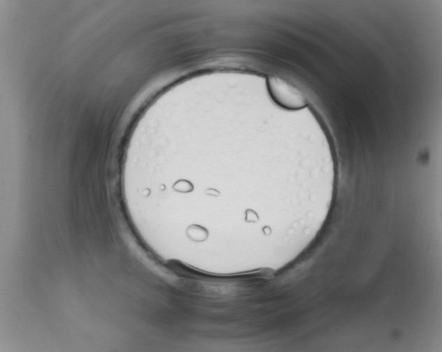 X0000113151045200910161215