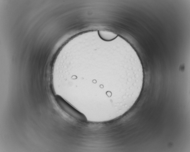 X0000113151046200910161215