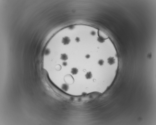 X0000113151048200910161216