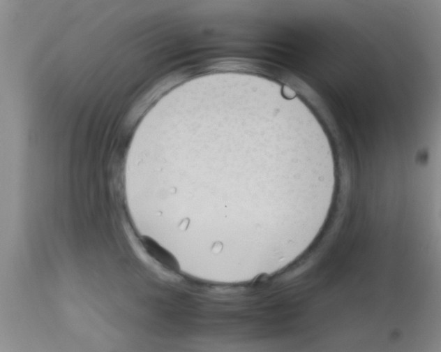 X0000113151049200910161216