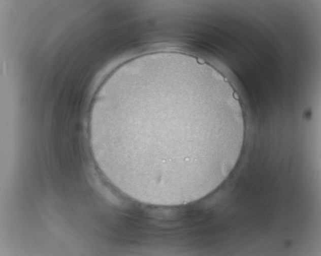 X0000113151051200910161216