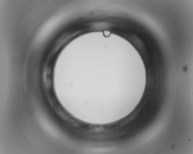 X0000113151054200910161216