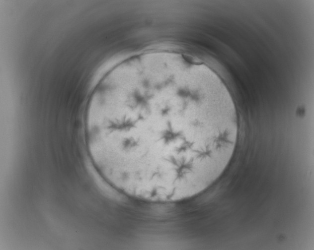 X0000113151055200910161216