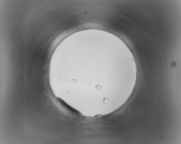 X0000113151056200910161216